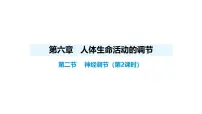 人教版（2024）八年级上册（2024）第二节 神经调节教案配套ppt课件