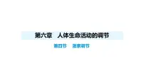 初中生物人教版（2024）八年级上册（2024）第四节 激素调节背景图课件ppt