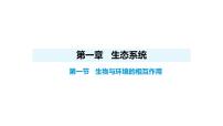 人教版（2024）八年级上册（2024）第一节 生物与环境的相互作用教课课件ppt