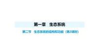 人教版（2024）八年级上册（2024）第二节 生态系统的结构和功能教案配套ppt课件