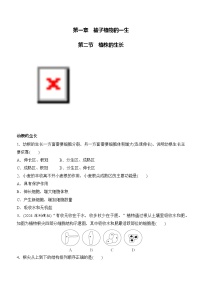 初中生物人教版（2024）七年级下册（2024）植株的生长优秀课后测评