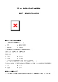 初中生物人教版（2024）七年级下册（2024）植物在自然界中的作用精品习题