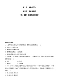 初中生物人教版（2024）七年级下册（2024）消化和吸收精品第2课时同步练习题