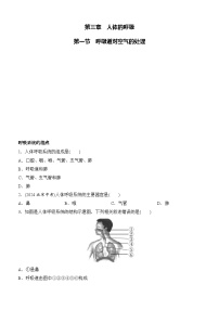 初中生物人教版（2024）七年级下册（2024）呼吸道对空气的处理精品同步训练题