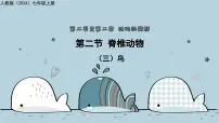 人教版（2024）七年级上册（2024）鸟和哺乳动物教学课件ppt