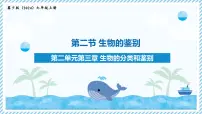 生物七年级上册（2024）生物的鉴别教学ppt课件