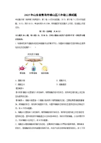 【生物】2025年山东省青岛市崂山区八年级二模试题（解析版）