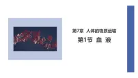 北师大版（2024）七年级下册（2024）血液教学ppt课件