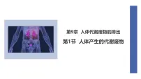 初中生物北师大版（2024）七年级下册（2024）人体产生的代谢废物评课课件ppt
