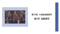初中生物北师大版（2024）七年级下册（2024）激素调节示范课ppt课件