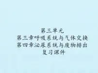 初中 生物 冀少版（2024） 七年级下册3.3-3.4期末复习课件