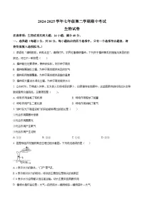 【7生（RJ）期中】池州市多校2024-2025学年七年级下学期期中生物试题