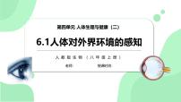 人教版（2024）八年级上册（2024）第一节 人体对外界环境的感知优秀习题课件ppt