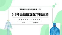 八年级上册（2024）第四节 激素调节精品教案