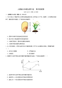 七年级人教版生物下册 期中测试卷01