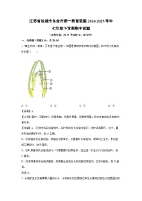 江苏省盐城市东台市第一教育联盟2024-2025学年七年级下期中生物试卷（解析版）