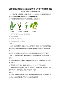 江苏省宿迁市宿城区2024-2025学年七年级下期中生物试卷（解析版）