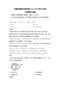 安徽省淮南市西部地区2024-2025学年七年级下期中生物试卷（解析版）