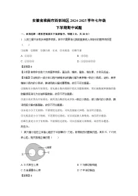 安徽省淮南市西部地区2024-2025学年七年级下期中生物试卷（解析版）