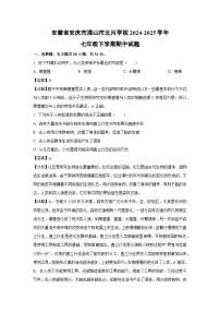 安徽省安庆市潜山市北片学校2024-2025学年七年级下期中生物试卷（解析版）