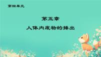 初中人体内废物的排出完美版课件ppt