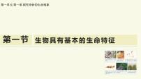 初中生物济南版（2024）七年级上册（2024）生物具有基本的生命特征教学课件ppt