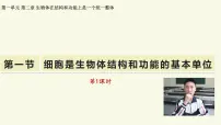 济南版（2024）七年级上册（2024）细胞是生物体结构和功能的基本单位教学ppt课件