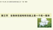 济南版（2024）七年级上册（2024）生物体在结构和功能上是一个统一整体教学ppt课件