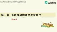 济南版（2024）无脊椎动物体内没有脊柱教学ppt课件