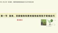 生物七年级上册（2024）孢子植物主要有藻类、苔藓和蕨类植物教学课件ppt