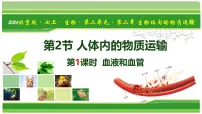 生物七年级上册（2024）人体内的物质运输图文ppt课件
