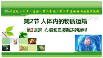 初中生物北京版（2024）七年级上册（2024）人体内的物质运输教学课件ppt