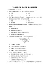 八年级生物下册 第二学期 期中综合测试卷（冀少版 2025年春）