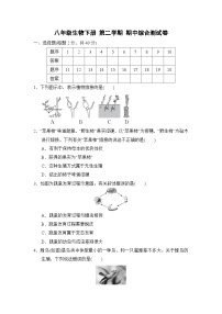 八年级生物下册 第二学期 期中综合测试卷（人教版 2025年春）