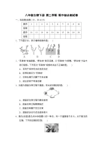 八年级生物下册 第二学期 期中综合测试卷（人教版 2025年春）