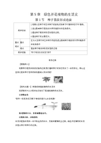 3.5.1 绿色开花植物的生活史  教案（含答案）  2024-2025学年生物学北师版七年级上册
