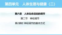 初中人教版（2024）第四单元 人体生理与健康（二）第六章 人体生命活动的调节第二节 神经调节图文ppt课件