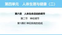 初中生物人教版（2024）八年级上册（2024）第二节 神经调节课文课件ppt