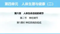 初中生物人教版（2024）八年级上册（2024）第二节 神经调节课文课件ppt