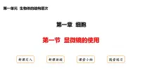 生物七年级上册（2024）显微镜的使用课文课件ppt