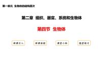 初中生物冀少版（2024）七年级上册（2024）生物体背景图课件ppt