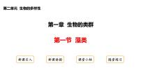 初中生物冀少版（2024）七年级上册（2024）藻类说课ppt课件