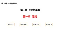 初中生物冀少版（2024）七年级上册（2024）藻类说课ppt课件