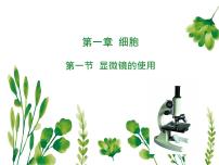 初中生物冀少版（2024）七年级上册（2024）显微镜的使用图文ppt课件