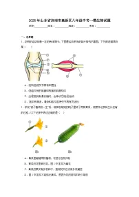 2025年山东省济南市高新区八年级中考一模生物试题（附答案解析）