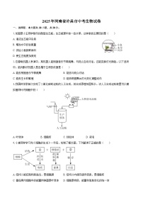 2025年河南省许昌市中考生物试卷（含解析）