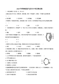 2025年河南省驻马店市中考生物试卷（含解析）