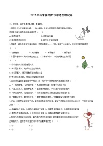 2025年山东省枣庄市中考生物试卷（含答案）