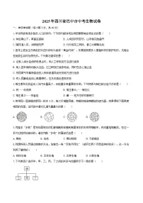 2025年四川省巴中市中考生物试卷（含解析）