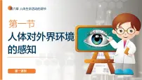 初中生物人教版（2024）八年级上册（2024）第一节 人体对外界环境的感知评课ppt课件